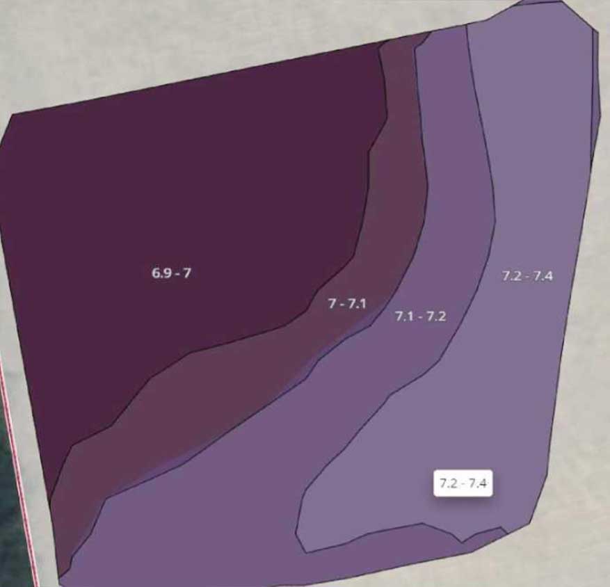 Natural State pH range 7.2 – 7.4