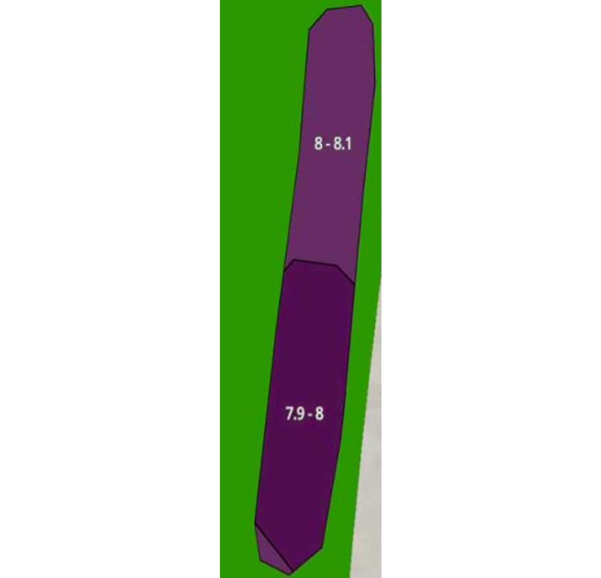 Treated State pH elevated 7.9 – 8.1