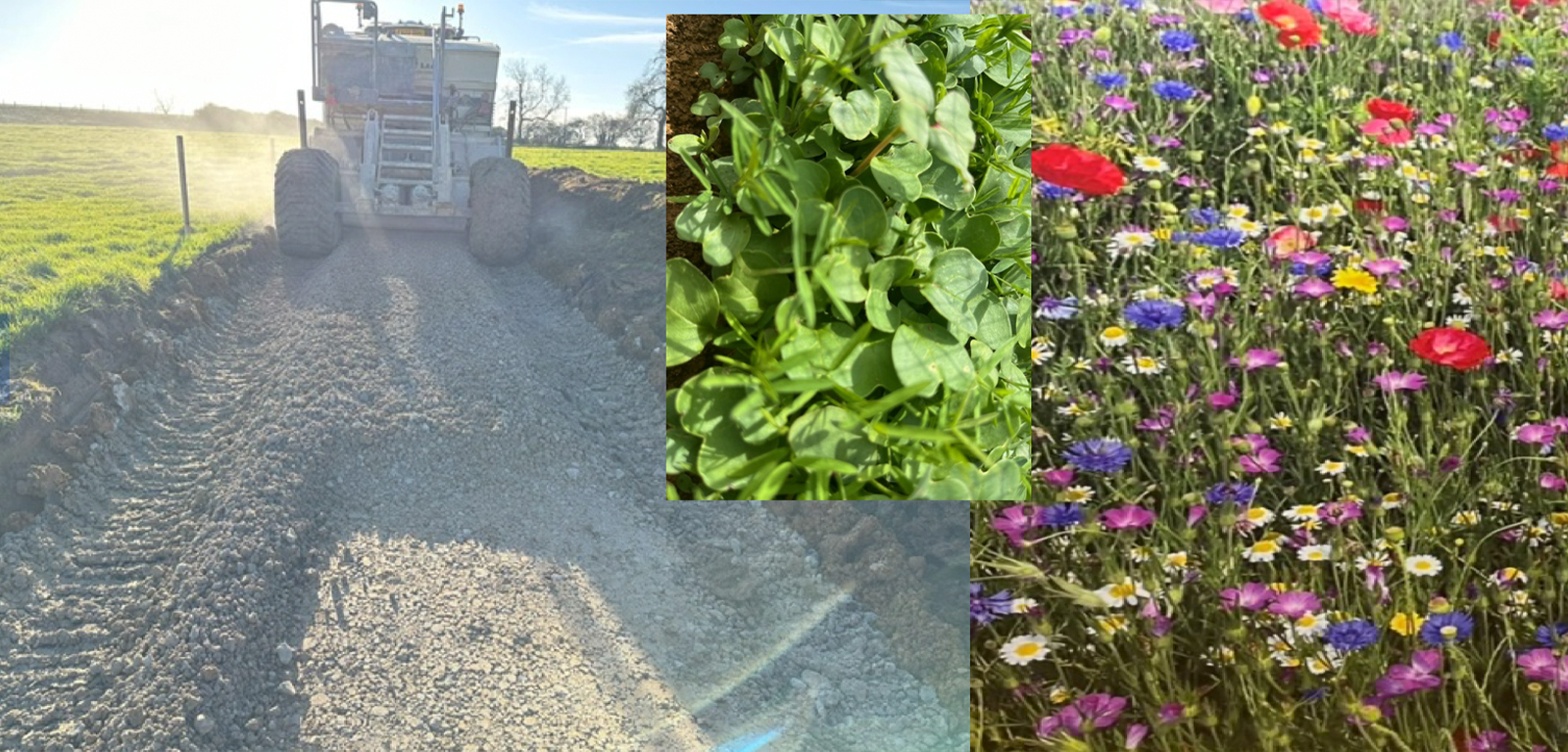 JJMac decommissioning through soil regenerative process 
