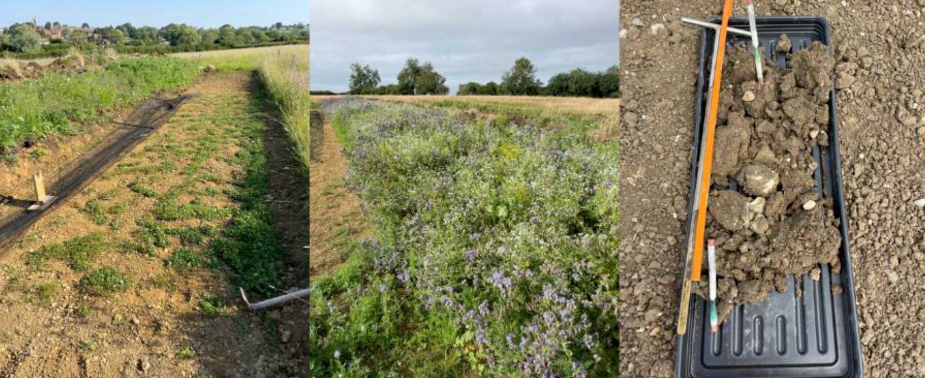 soil inspections post-reinstatement