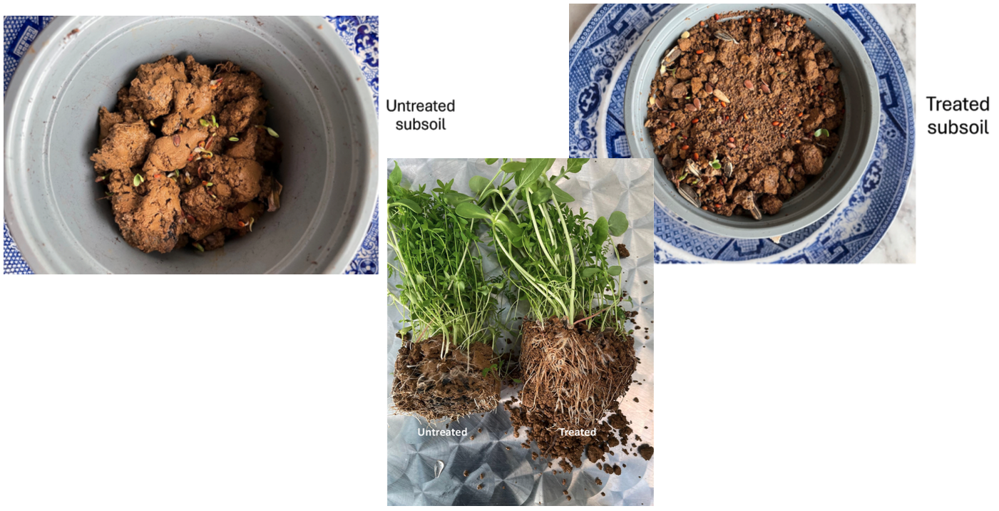 Seeding