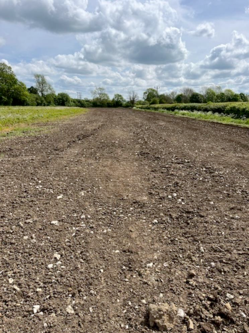 Seeding