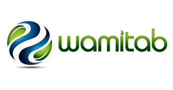 Wambit